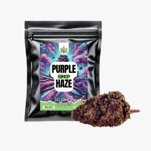Purple Haze 10-OH-HHC Blüten